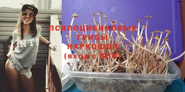 дмт Майский