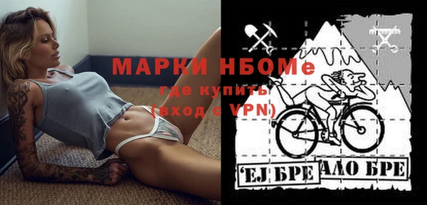 прущие грибы Медвежьегорск