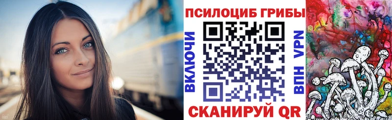 Галлюциногенные грибы Psilocybe Абаза